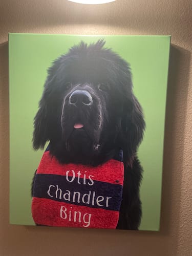 Customer photo review of Classic – Custom Pet Canvas