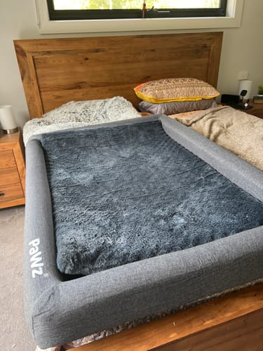 Customer photo review of PaWz Memory Foam Calming Dog Bed