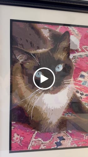 Customer video review of BPBN Shipping Protection