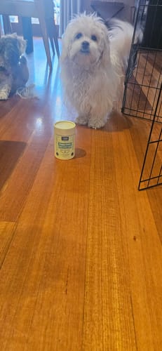 Customer photo review of Happy Teeth – Fresh Breath, Strong Teeth