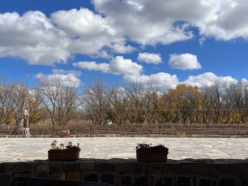 Customer photo review of Recorrido SCIELOMX