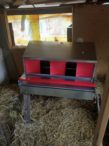 Customer photo review of 10% off Sale - Medium (34") Reversible Rollout Nest Box (Up to 32 Hens) - Premium Grade - Ready to Ship