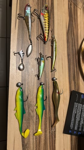 Customer photo review of Lure Drop