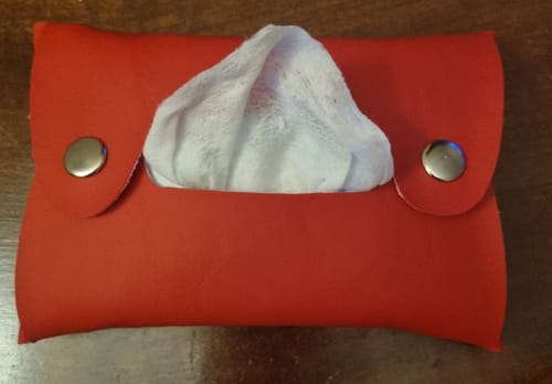 Customer photo review of Pristine Tissue Holder Pattern