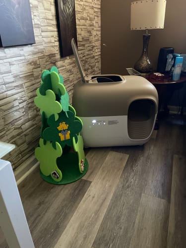 Customer photo review of Self-Cleaning Litter Box
