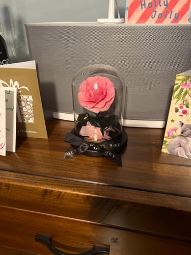 Customer photo review of Mini Everlasting Rose - Pink