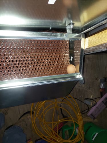Customer photo review of Small (24") Reversible Rollout Nest Box (Up to 20 Hens) - Premium Grade - Ready to Ship!