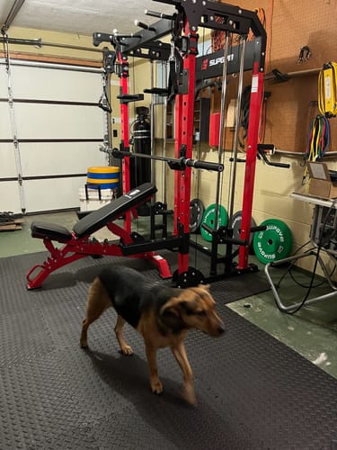 Customer photo review of MAJOR All-in-One Home Gym Power Rack Package Raptor F22