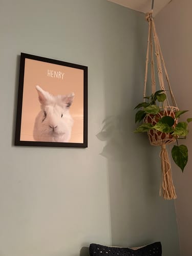 Customer photo review of Classic - Custom Pet Portrait