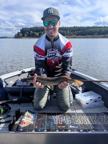 Customer photo review of Lure Drop