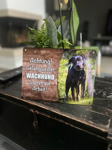 Customer photo review of Hunde-Türschild mit Foto & Wunschtext (UV- UND WETTERFEST)