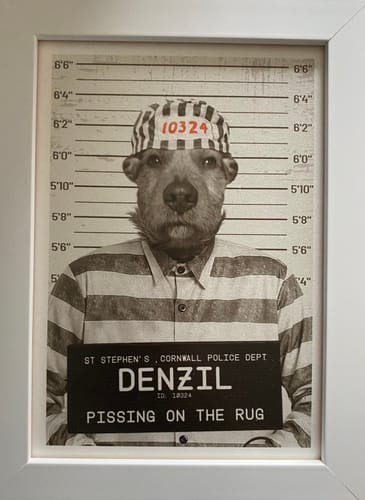 Customer photo review of Naughty Pet Mugshot - Custom Pet Portrait