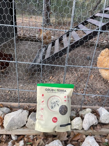 Customer photo review of GrubTerra Dried Larvae Sample