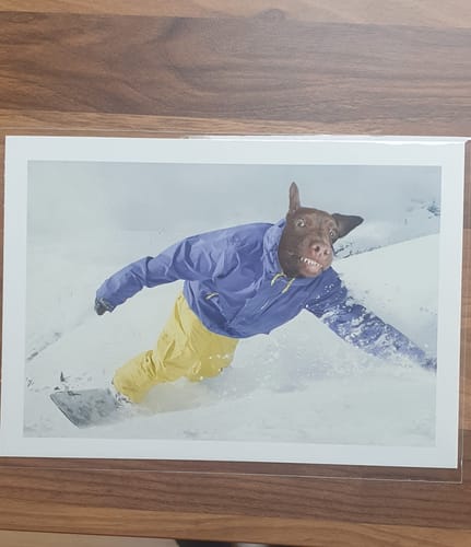 Customer photo review of The Snowboarder - Custom Pet Portrait