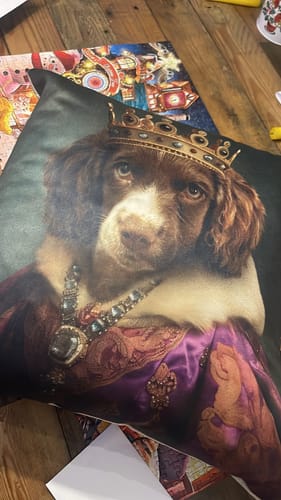 Customer photo review of Royal Highness - Custom Pet Cushion