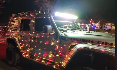 Customer photo review of Grinch Christmas Insert