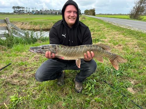 Customer photo review of Lure Drop