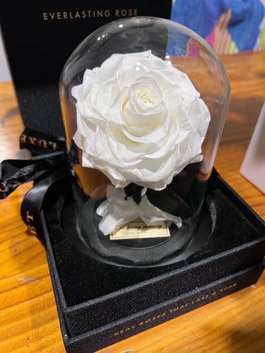 Customer photo review of Mini Everlasting Rose - White