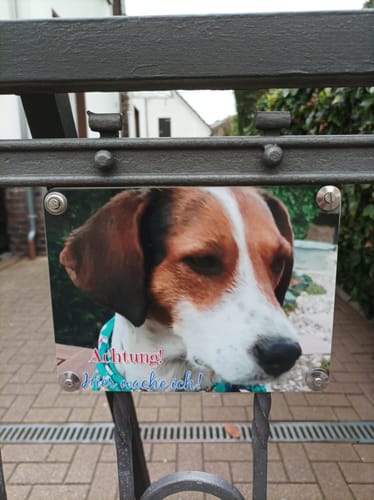 Customer photo review of Hunde-Türschild mit Foto & Wunschtext (UV- UND WETTERFEST)