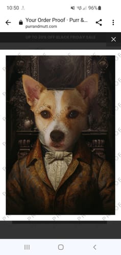 Customer photo review of The Handsome One - Custom Pet Portrait