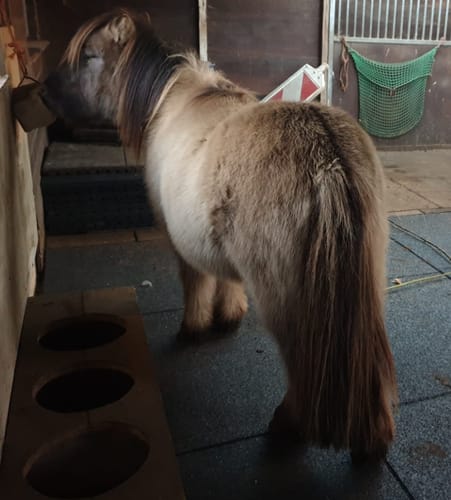 Dea K. review of Staltegel Granulaat vochtdoorlatend 100x100x4cm image 1 out of 1