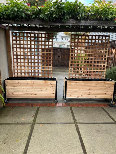 Customer photo review of 18" x 60" Planter Box - 24" Tall