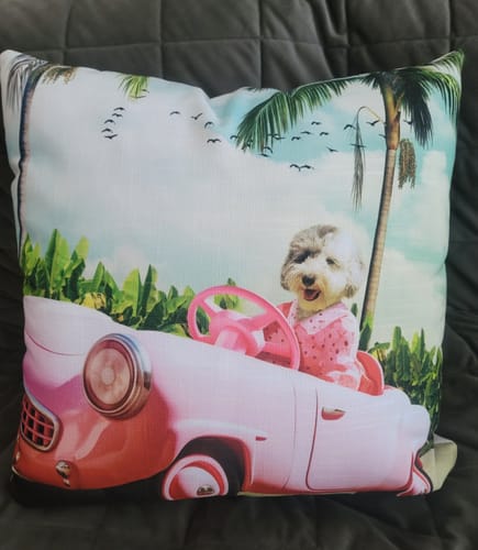Customer photo review of The Toy Princess - Custom Pet Cushion
