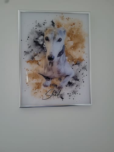 undefined review of Your Pet as Watercolor Portrait image 1 out of 2