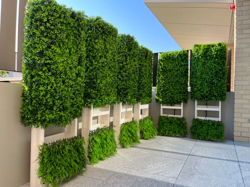 Customer photo review of Dense Buxus Artificial Hedge Tile / Fake Vertical Garden 1m x 1m UV Resistant