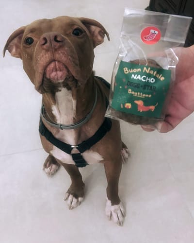 Customer photo review of Bauttone Personalizzabile - Panettone Per Cani