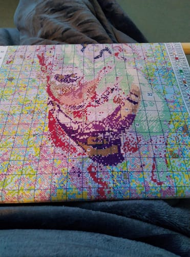 Customer photo review of Custom Cross Stitch Tapestry Kit | Just Upload Your Photo!