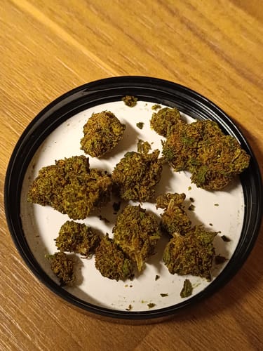 Customer photo review of Mandarine Kush