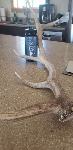 Customer photo review of Peak Refuel Bottle