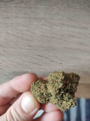 Customer photo review of New York Diesel - Mr Kush Selection