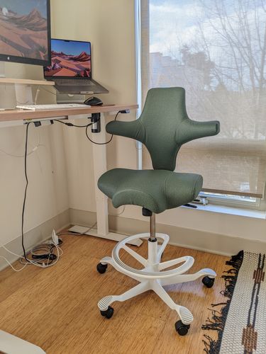 Customer photo review of Capisco Saddle