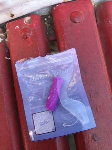 Customer photo review of Gomita Morada