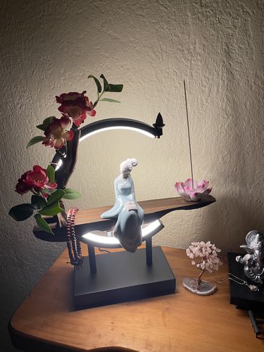 Customer photo review of Cascada de Incienso LED Jardín Japones + 10 Inciensos Especiales