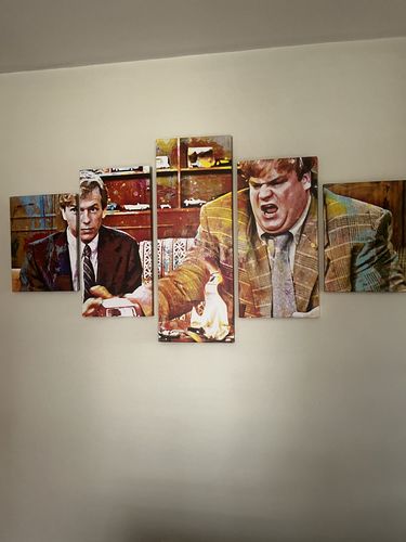 Customer photo review of Callahan Sales Pitch Canvas Set