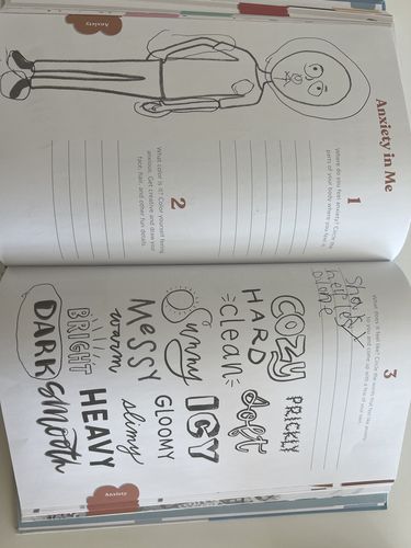 Customer photo review of Emotions Journal - Fog-Sky Blue