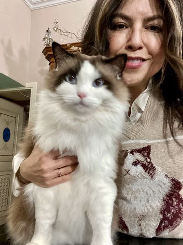 Customer photo review of Full-Body Pet Custom Sweater