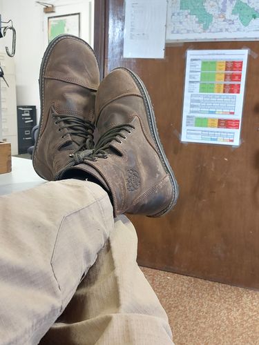 Customer photo review of Bruin