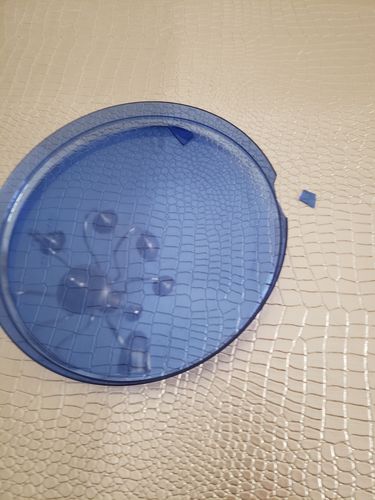 Customer photo review of Round Transparent Bartenura Blue Walled Plastic Plates | 10 Pack