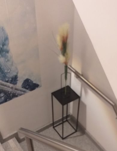 Fotorecensie van een klant over Elite Vaas
