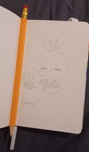 Customer photo review of Red Mushroom Ghost Sketchbook