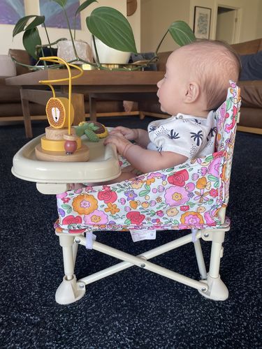 Customer photo review of Paloma baby chair