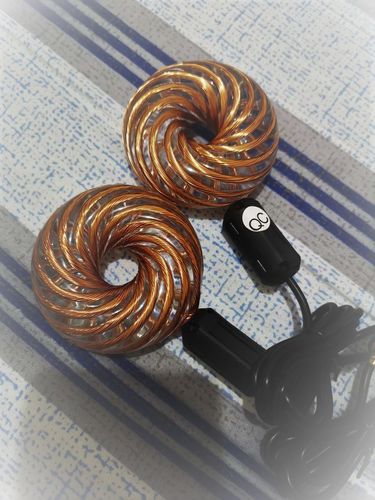 Customer photo review of Qi Coil™ 2 Parasite Detox System with Resonant Console 1