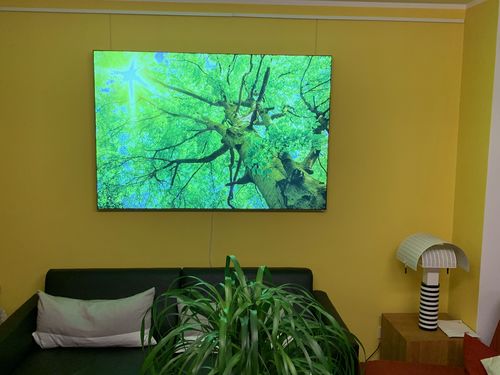 Customer photo review of Leuchtbild | Baumkrone einer Buche | Querformat