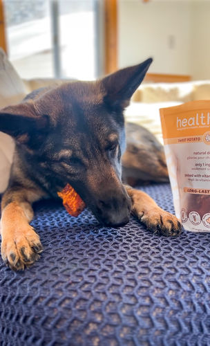 Customer photo review of Sweet Potato Chews