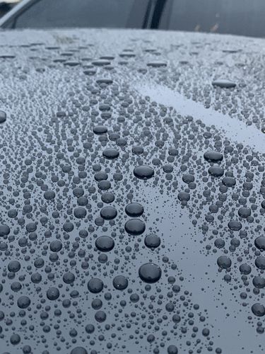 Customer photo review of Ceramic Spray Sealant - 16oz