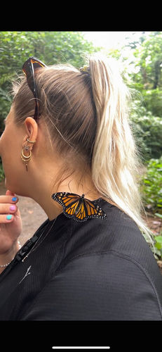 Customer photo review of Classic Live Monarch Butterfly Chrysalis Box